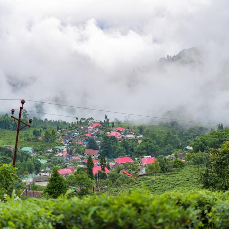 Entertainment zone at night in Portugal